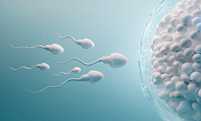 Spermoqramma  nədir? Spermoqramma analizi necə verilməlidir?