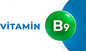 Vitamin B9 (Fol turşusu)  nədir? Hansı qidaların tərkibində var?