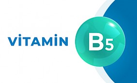 B5 vitamini hansı qidaların tərkibində var?