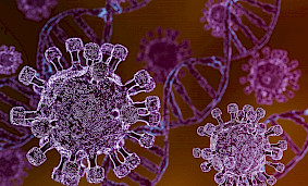 Herpes Virus Ailəsi: Sağlamlığa Təsirləri və Növlərinə Görə Xüsusiyyətləri