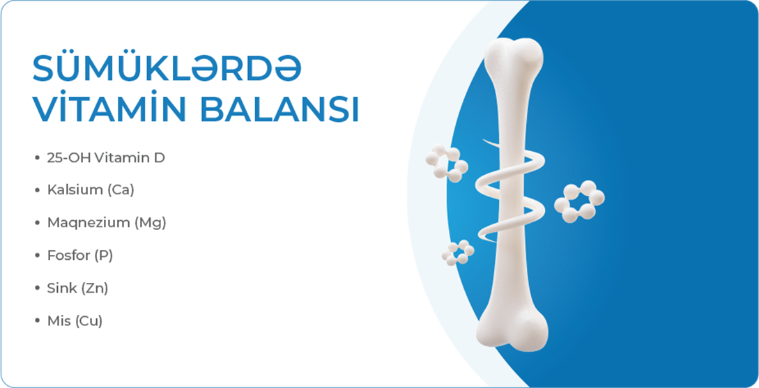 Sümüklərdə vitamin balansı