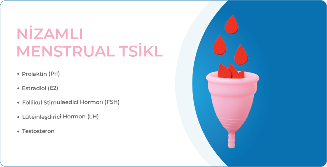 Nizamlı menstrual tsikl