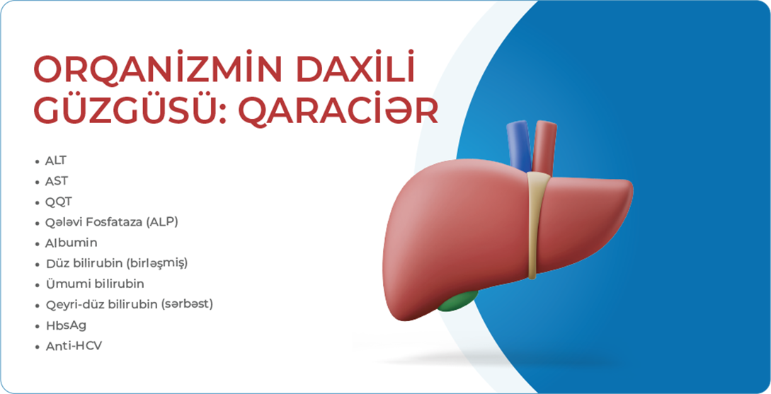Orqanizmin daxili güzgüsü:Qaraciyər