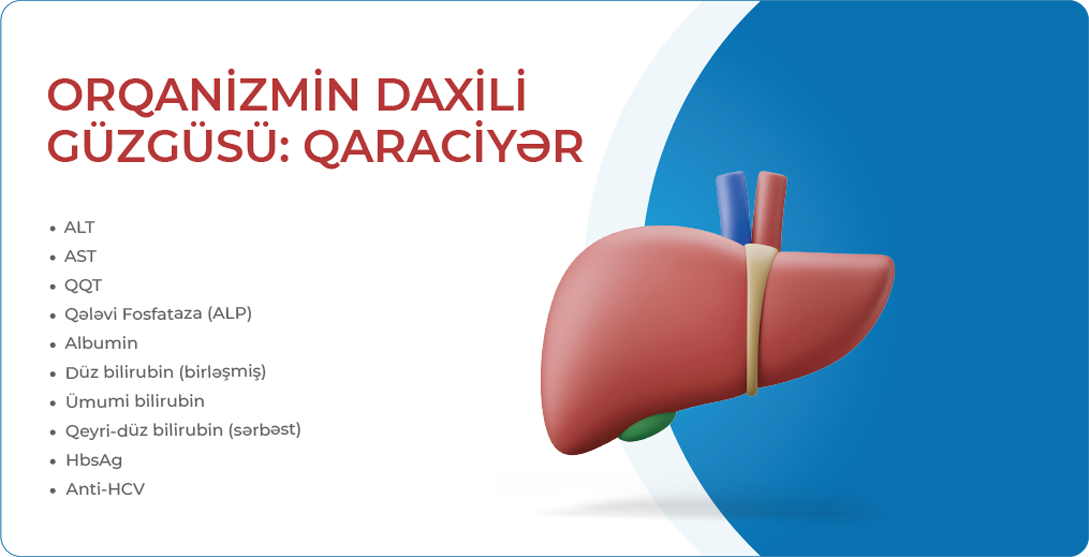 Orqanizmin daxili güzgüsü:Qaraciyər