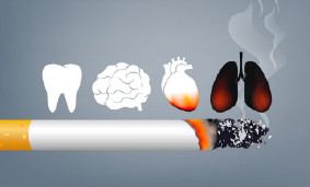 Сигареты и привычки: влияние на здоровье и факторы риска Сигареты и привычки: влияние на здоровье и факторы риска