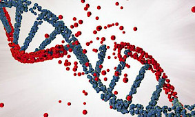 Что такое наследственное заболевание, передающееся по наследству, и как его выявляют? Что такое наследственное заболевание, передающееся по наследству, и как его выявляют?