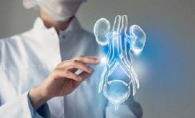 В зимний период может увеличиться частота инфекций мочевыводящих путей (особенно у женщин). В зимний период может увеличиться частота инфекций мочевыводящих путей (особенно у женщин).