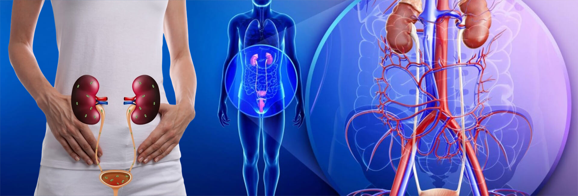 Uroloq və Androloq -  Hansı xəstəlikləri müalicə edir?