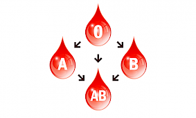 А вы знали, что диета для людей с группой крови 2 отличается? А вы знали, что диета для людей с группой крови 2 отличается?