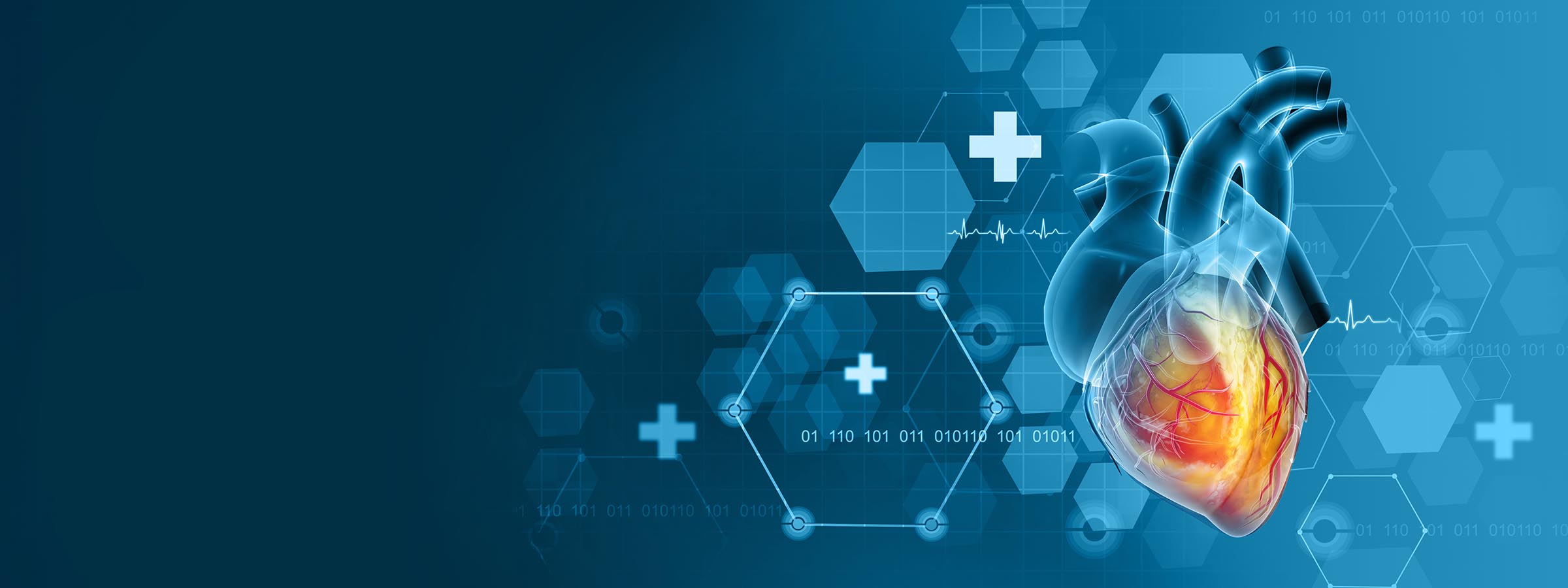 Кто такой кардиолог? Какие заболевания лечит специалист по заболеваниям сердца?