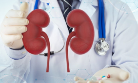 Кто такой нефролог и какие заболевания он лечит? Кто такой нефролог и какие заболевания он лечит?