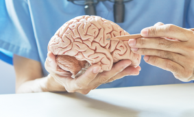 Кто такой нейропатолог и какие заболевания он лечит? Кто такой нейропатолог и какие заболевания он лечит?